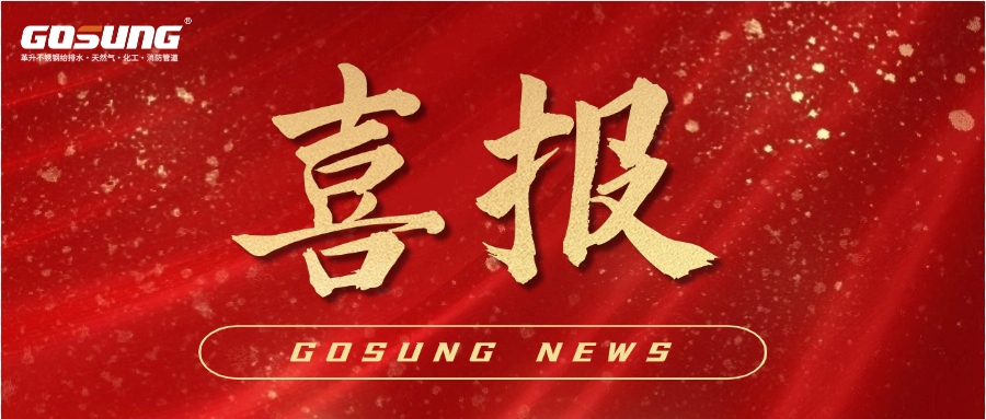 GOSUNG资讯丨重磅捷报！GOSUNG斩获城市供水改造项目魁首，筑牢民生健康安全防线！